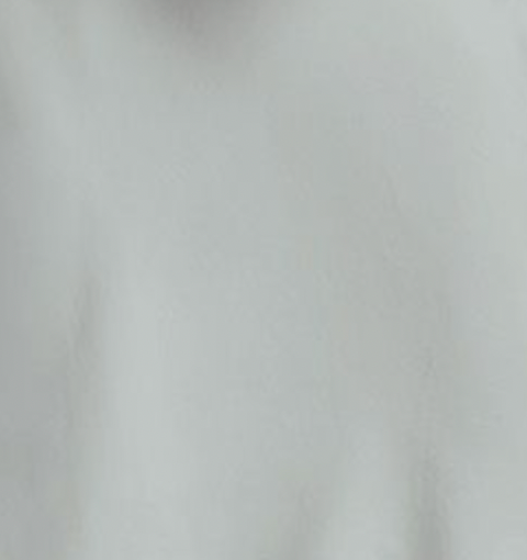 vegan silk slip dress